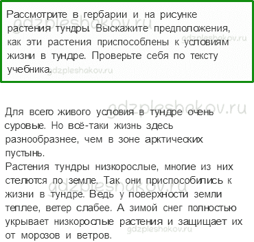 Учебник. Часть 1 – Тундра (стр. 85) – Работа в группе – 1 - 0