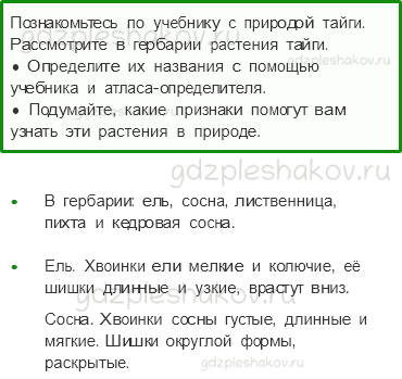 Учебник. Часть 1 – Леса России (стр. 95) – Работа в группе – 1 - 0