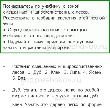 Учебник. Часть 1 – Леса России (стр. 95) – Работа в группе – 2 - 0