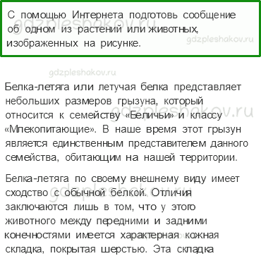 Учебник. Часть 1 – Леса России (стр. 102) – Задания для домашней работы – 2 - 0