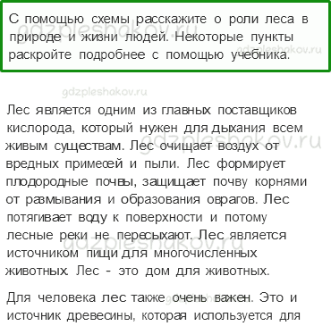 Учебник. Часть 1 – Лес и человек (стр. 103) – Работа в паре – 1 - 0