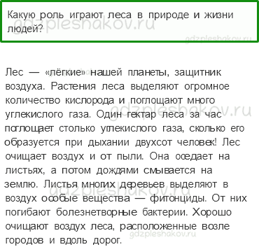 Учебник. Часть 1 – Лес и человек (стр. 108) – Проверь себя – 1 - 0