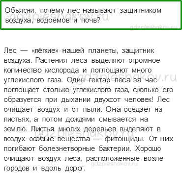 Учебник. Часть 1 – Лес и человек (стр. 108) – Проверь себя – 2 - 0