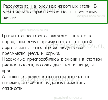 Учебник. Часть 1 – Зона степей (стр. 116) – Обсудим – 2 - 0