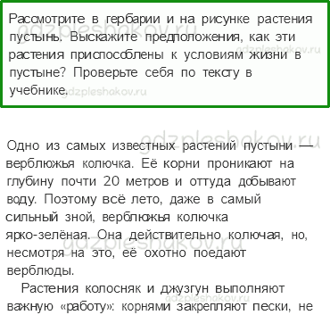 Учебник. Часть 1 – Пустыни (стр. 119) – Работа в группе – 1 - 0