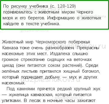 Учебник. Часть 1 – У Черного моря (стр. 126) – Работа в группе – 2 - 0
