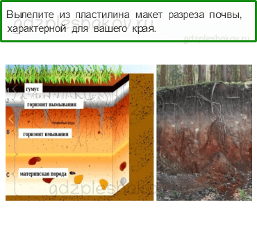 Учебник. Часть 1 – Земля — кормилица (стр. 161) – Работа в группе – 2 - 0