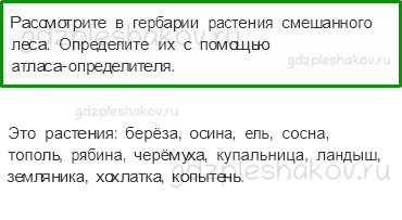 Учебник. Часть 1 – Жизнь леса (стр. 164) – Работа в группе – 1 - 0