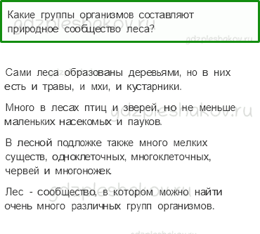 Учебник. Часть 1 – Жизнь леса (стр. 169) – Проверь себя – 3 - 0