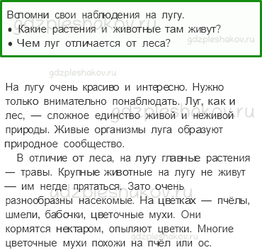 Учебник. Часть 1 – Жизнь леса (стр. 170) – На следующем уроке – 1 - 0