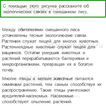 Учебник. Часть 1 – Жизнь леса (стр. 164) – Работа в группе – 3 - 0