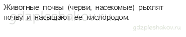 Учебник. Часть 1 – Жизнь леса (стр. 164) – Работа в группе – 3 - 1