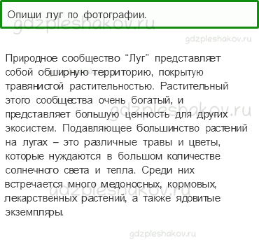 Учебник. Часть 1 – Жизнь луга (стр. 170) – Работа в группе – 1 - 0