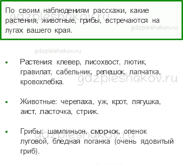 Учебник. Часть 1 – Жизнь луга (стр. 175) – Вопросы параграфа – 1 - 0