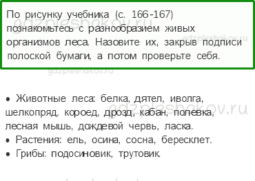 Учебник. Часть 1 – Жизнь леса (стр. 164) – Работа в группе – 2 - 0