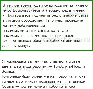 Учебник. Часть 1 – Жизнь луга (стр. 176) – Задания для домашней работы – 1 - 0