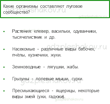 Учебник. Часть 1 – Жизнь луга (стр. 176) – Проверь себя – 2 - 0
