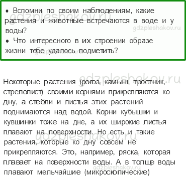 Учебник. Часть 1 – Жизнь луга (стр. 177) – На следующем уроке – 1 - 0