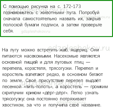 Учебник. Часть 1 – Жизнь луга (стр. 170) – Работа в группе – 3 - 0
