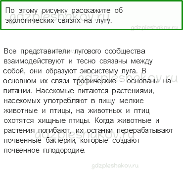 Учебник. Часть 1 – Жизнь луга (стр. 170) – Работа в группе – 4 - 0