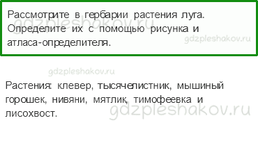 Учебник. Часть 1 – Жизнь луга (стр. 170) – Работа в группе – 2 - 0