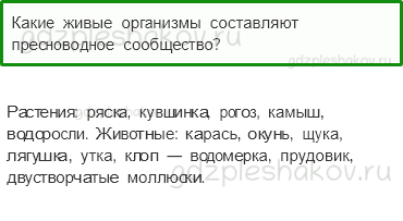 Учебник. Часть 1 – Жизнь в пресных водах (стр. 184) – Проверь себя – 1 - 0