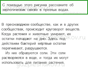 Учебник. Часть 1 – Жизнь в пресных водах (стр. 178) – Работа в группе – 4 - 0