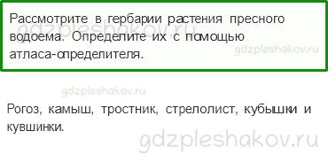 Учебник. Часть 1 – Жизнь в пресных водах (стр. 178) – Работа в группе – 2 - 0