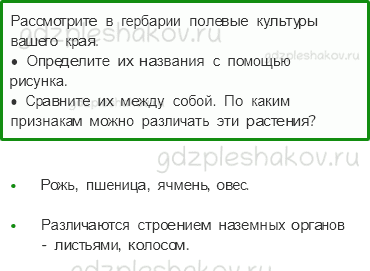 Учебник. Часть 1 – Растениеводство в нашем крае (стр. 189) – Практическая работа – 1 - 0