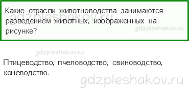 Учебник. Часть 1 – Животноводство в нашем крае (стр. 203) – Проверь себя – 4 - 0