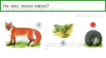 Тесты – Что и кто? (стр. 9) – Что растёт на подоконнике? – 20 - 0