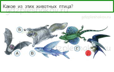 Тесты – Что и кто? (стр. 15) – Кто такие птицы? – 37 - 0