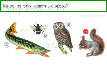 Тесты – Что и кто? (стр. 16) – Кто такие звери? – 40 - 0