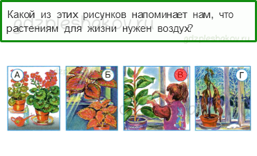 Тесты – Как, откуда и куда? (стр. 27) – Как живут растения? – 74 - 0