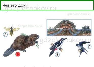 Тесты – Как, откуда и куда? (стр. 28) – Как живут животные? – 78 - 0