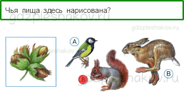 Тесты – Как, откуда и куда? (стр. 28) – Как живут животные? – 76 - 0