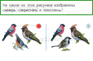 Тесты – Как, откуда и куда? (стр. 29) – Как зимой помочь птицам? – 80 - 0