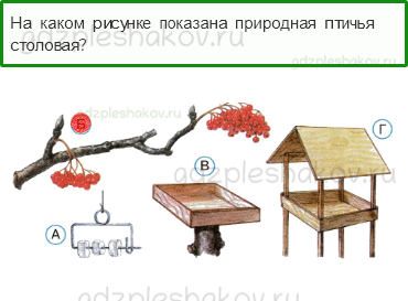 Тесты – Как, откуда и куда? (стр. 29) – Как зимой помочь птицам? – 81 - 0