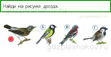 Тесты – Как, откуда и куда? (стр. 29) – Как зимой помочь птицам? – 79 - 0