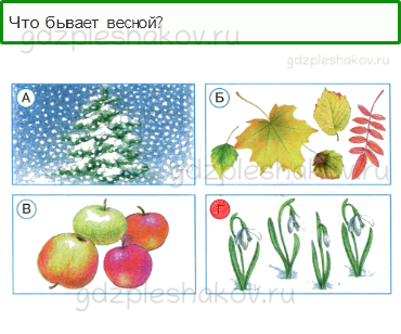 Тесты – Где и когда? (стр. 34) – Когда наступит лето? – 96 - 0