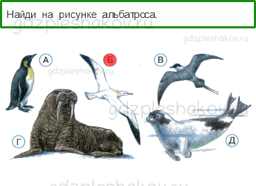 Тесты – Где и когда? (стр. 35) – Где живут белые медведи? – 99 - 0
