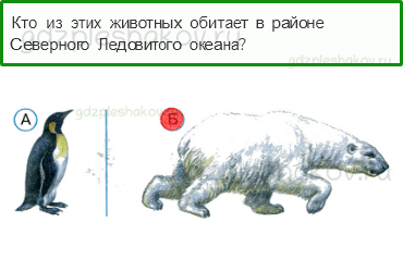 Тесты – Где и когда? (стр. 35) – Где живут белые медведи? – 97 - 0