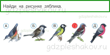 Тесты – Где и когда? (стр. 37) – Где зимуют птицы? – 105 - 0