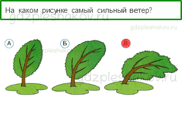 Тесты – Почему и зачем? (стр. 43) – Почему идёт дождь и дует ветер? – 123 - 0