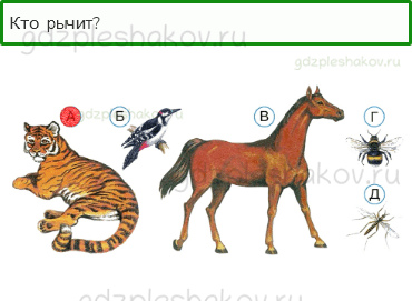 Тесты – Почему и зачем? (стр. 44) – Почему звенит звонок? – 124 - 0