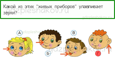 Тесты – Почему и зачем? (стр. 44) – Почему звенит звонок? – 125 - 0