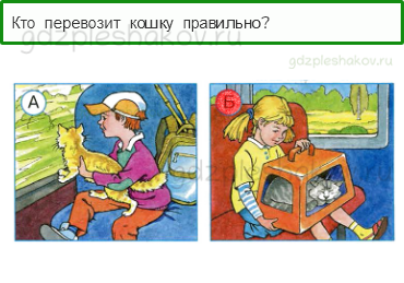 Тесты – Почему и зачем? (стр. 46) – Почему мы любим кошек и собак? – 132 - 0