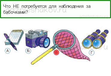 Тесты – Почему и зачем? (стр. 47) – Почему мы не будем рвать цветы и ловить бабочек? – 135 - 0