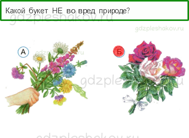 Тесты – Почему и зачем? (стр. 47) – Почему мы не будем рвать цветы и ловить бабочек? – 133 - 0