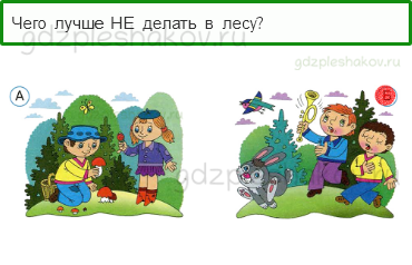 Тесты – Почему и зачем? (стр. 48) – Почему в лесу мы будем соблюдать тишину? – 136 - 0